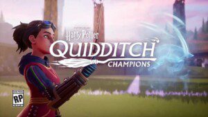 Harry Potter Quidditch Champions